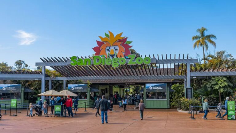 San Diego Zoo Complete Guide Wildlife Attractions and Visitor Experience